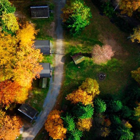 Вилла Lesny Dwor Яновице-Вельке Экстерьер фото