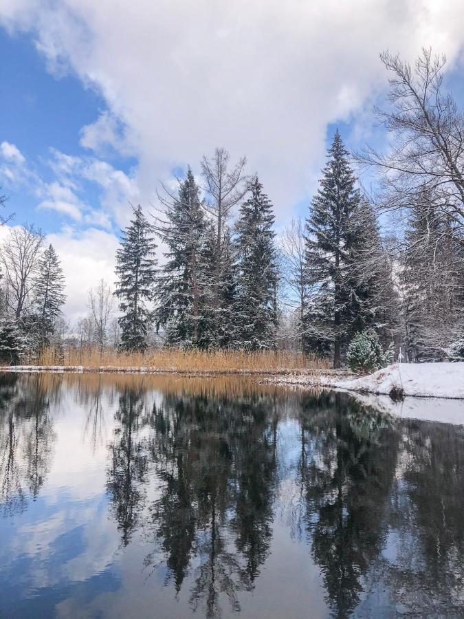 Вилла Lesny Dwor Яновице-Вельке Экстерьер фото