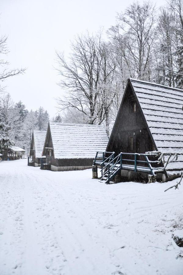 Вилла Lesny Dwor Яновице-Вельке Экстерьер фото