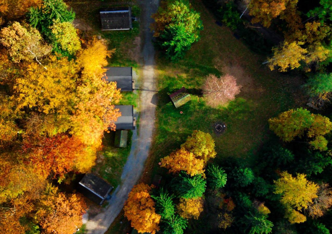 Вилла Lesny Dwor Яновице-Вельке Экстерьер фото