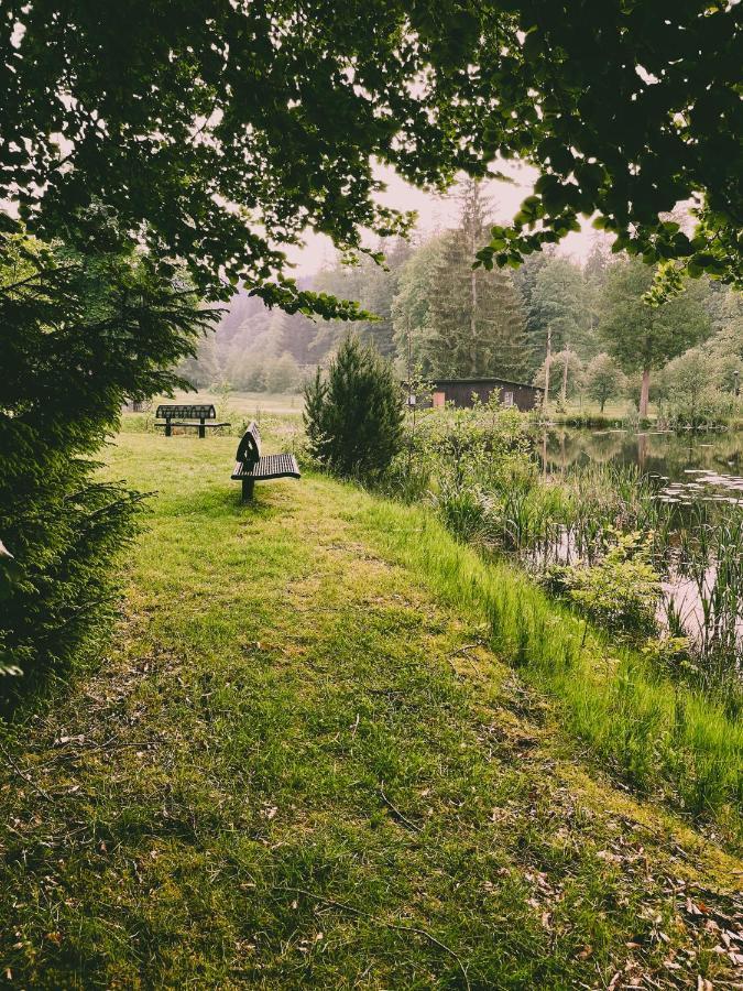 Вилла Lesny Dwor Яновице-Вельке Экстерьер фото