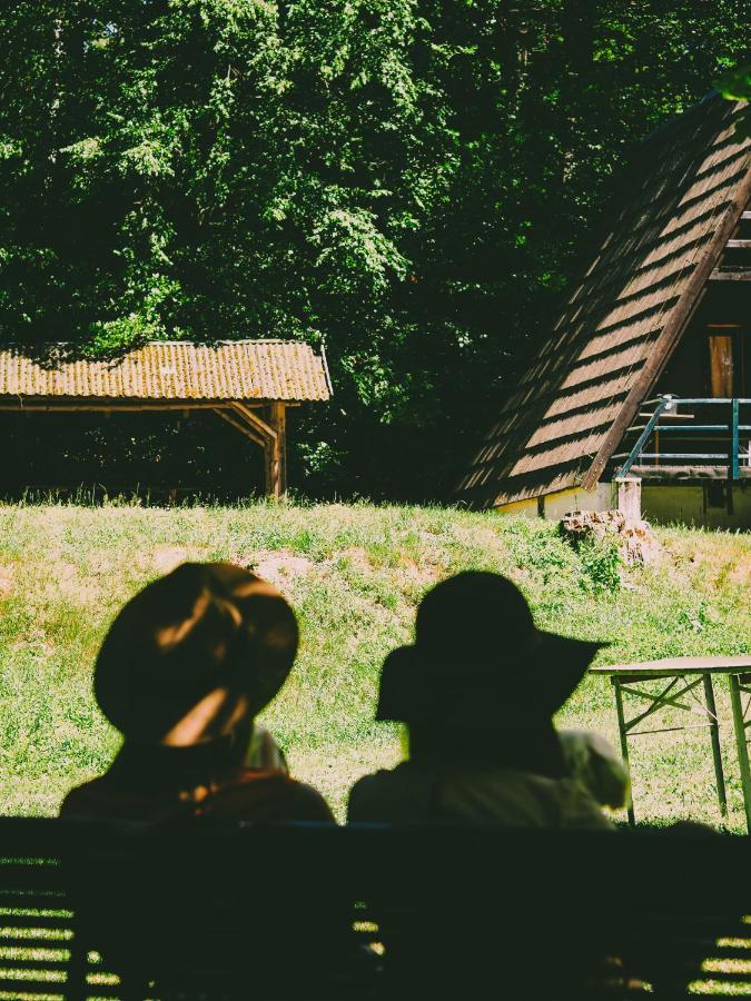 Вилла Lesny Dwor Яновице-Вельке Экстерьер фото